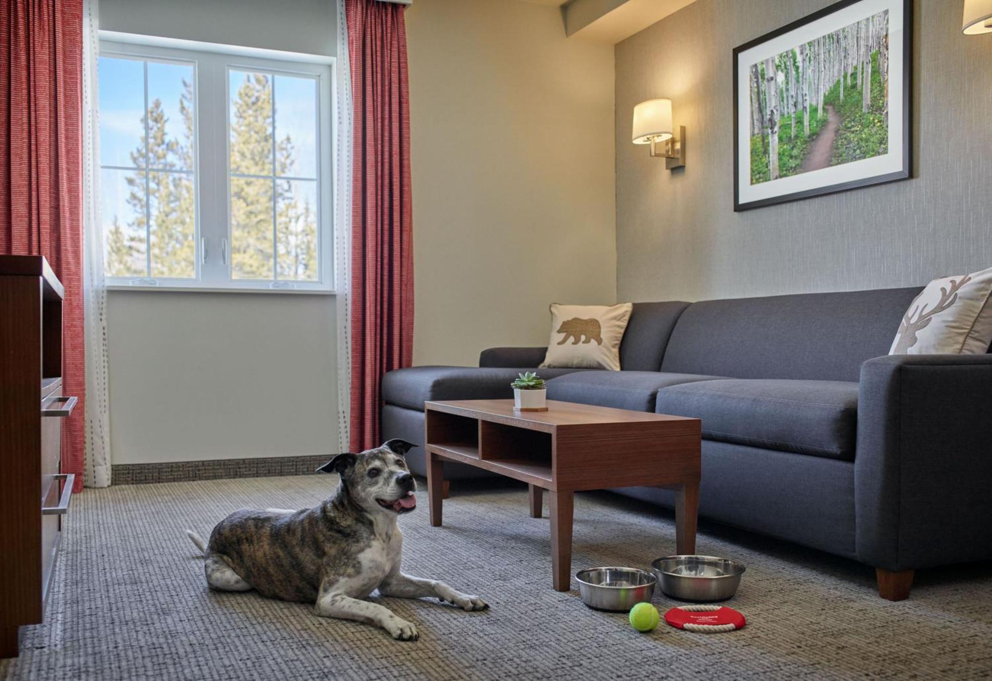 Residence Inn By Marriott Breckenridge Εξωτερικό φωτογραφία